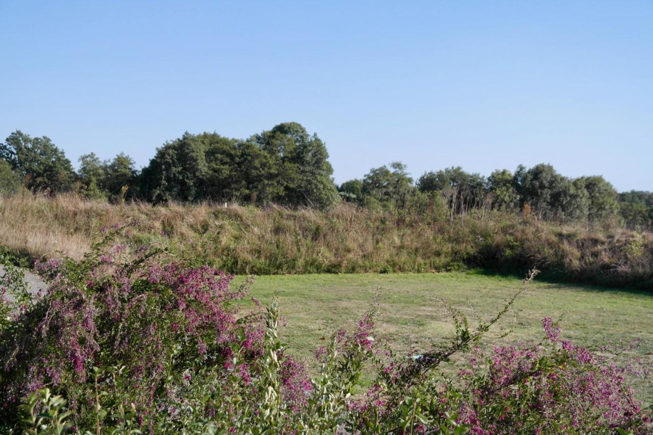 Maison Pour 4 A La Campagne Avec Piscine Commequiers Exterior foto